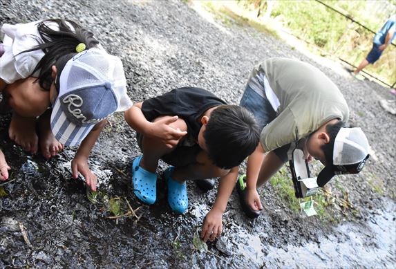 ファイル 100-4.jpg