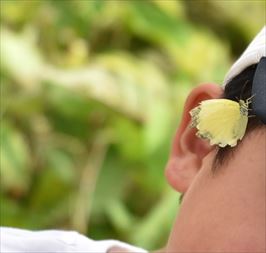 ファイル 101-5.jpg