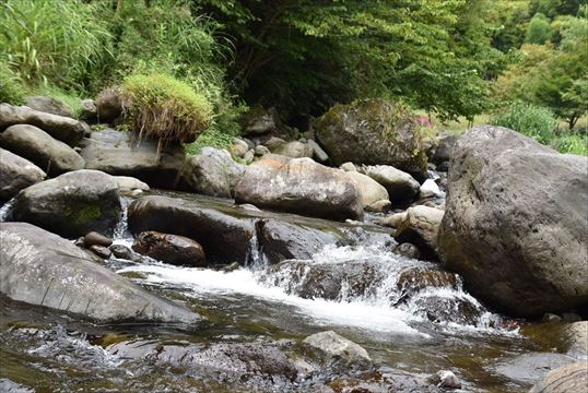 ファイル 108-1.jpg