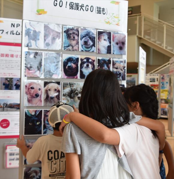 ファイル 110-4.jpg