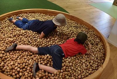 ファイル 115-4.jpg