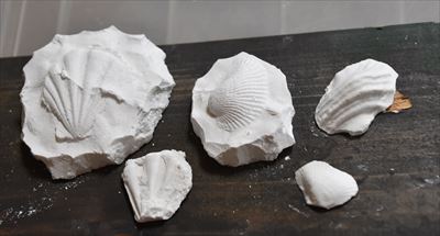 ファイル 116-4.jpg