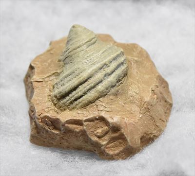 ファイル 116-5.jpg