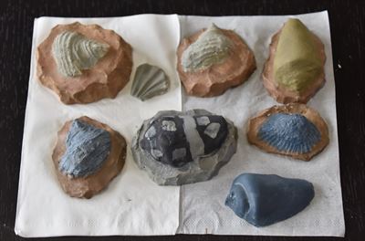 ファイル 117-5.jpg