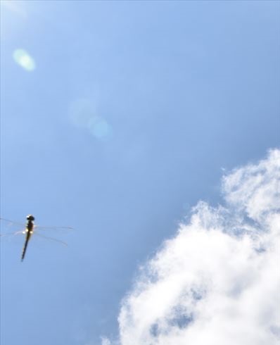 ファイル 118-4.jpg