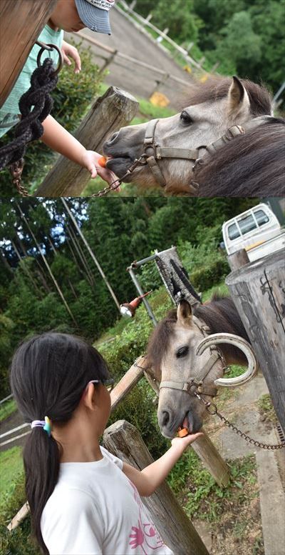 ファイル 119-3.jpg