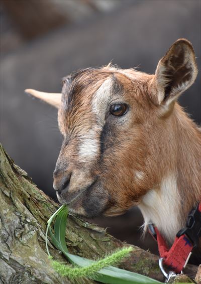 ファイル 119-5.jpg