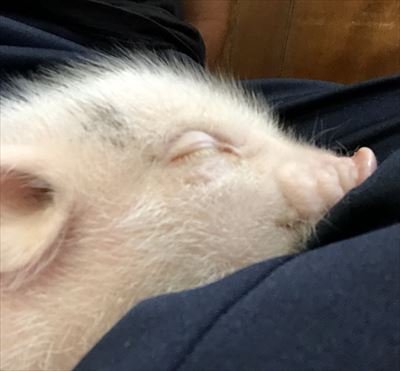 ファイル 122-2.jpg