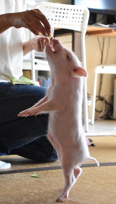 ファイル 123-5.jpg