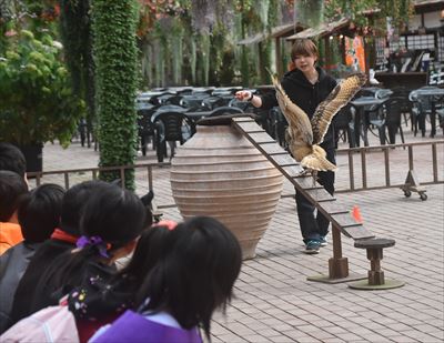 ファイル 128-1.jpg