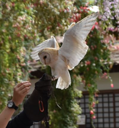 ファイル 128-2.jpg