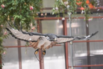 ファイル 128-3.jpg