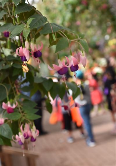 ファイル 128-5.jpg