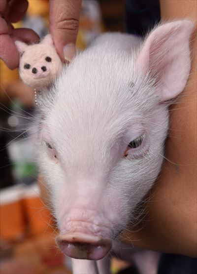 ファイル 129-5.jpg