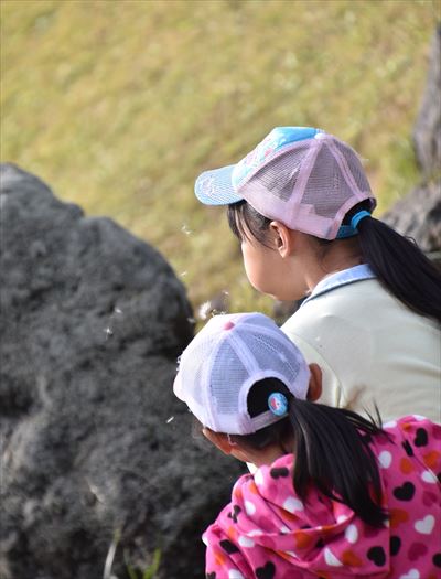 ファイル 132-4.jpg