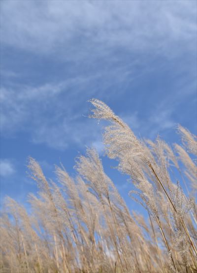 ファイル 132-5.jpg