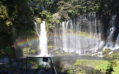 ファイル 133-1.jpg