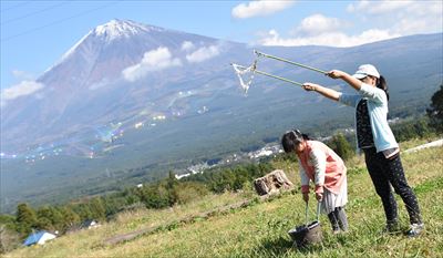 ファイル 133-5.jpg