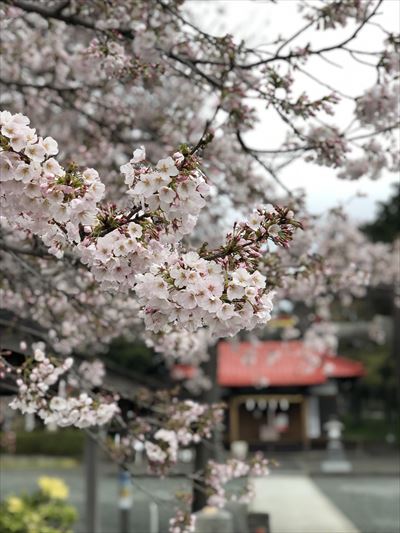 ファイル 160-4.jpg