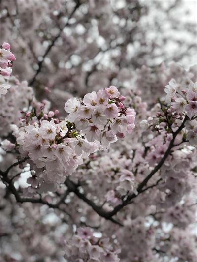 ファイル 160-5.jpg