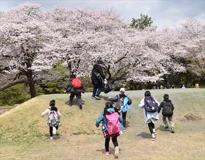 ファイル 161-1.jpg