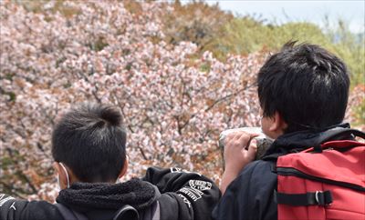 ファイル 161-4.jpg