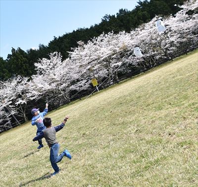 ファイル 162-3.jpg