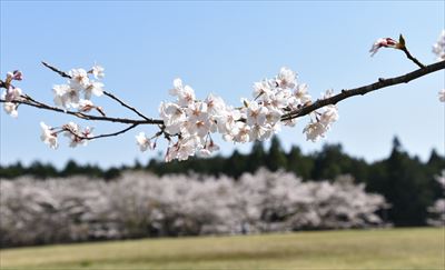 ファイル 162-4.jpg