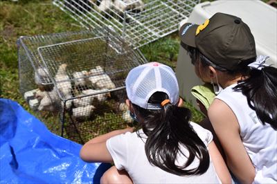 ファイル 164-4.jpg