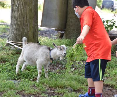 ファイル 164-5.jpg