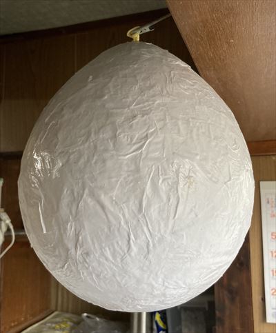 ファイル 167-3.jpg