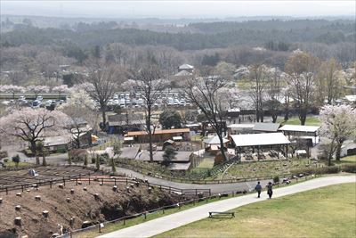 ファイル 177-1.jpg