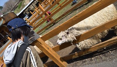 ファイル 177-2.jpg