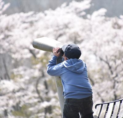 ファイル 177-5.jpg