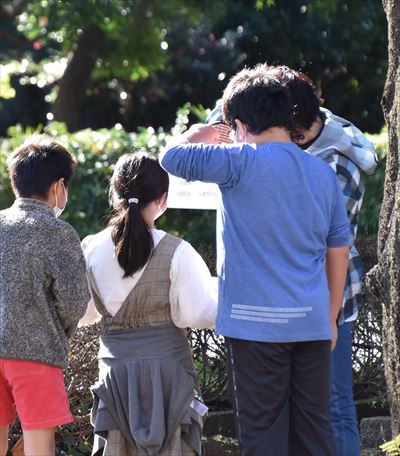 ファイル 184-3.jpg