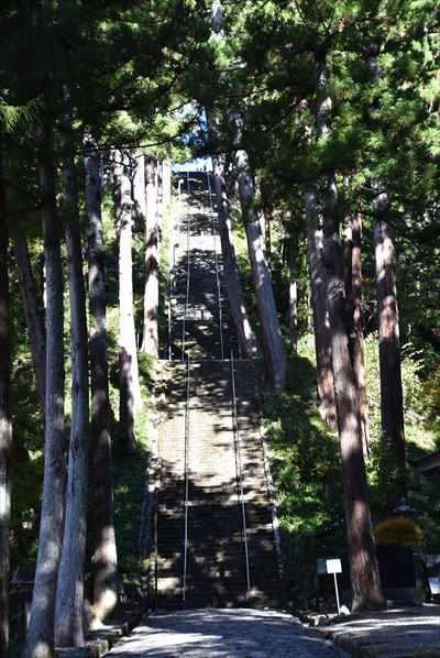 ファイル 186-3.jpg