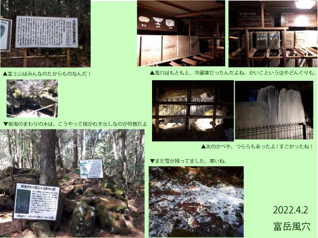 ファイル 194-1.jpg