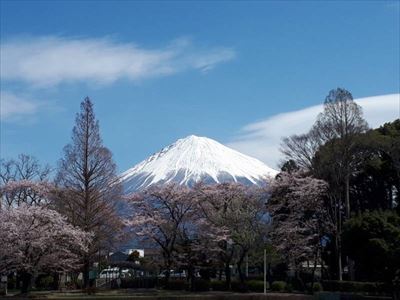 ファイル 196-2.jpg