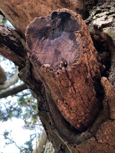 ファイル 196-3.jpg