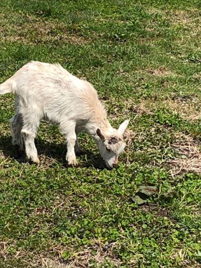 ファイル 196-4.jpg