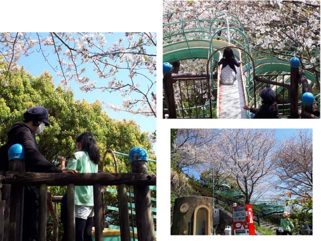 ファイル 197-3.jpg