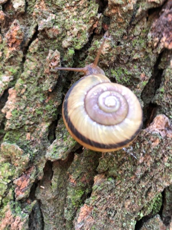 ファイル 199-3.jpg