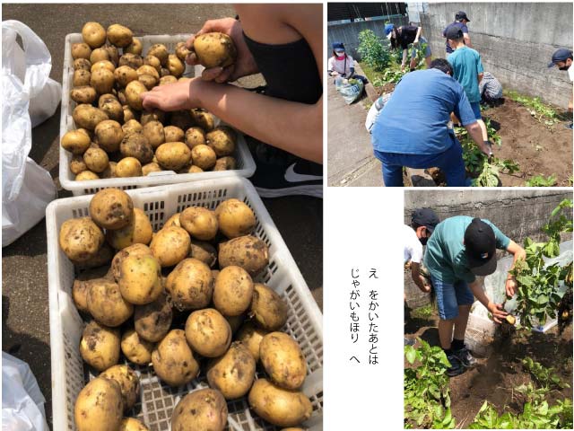 ファイル 206-4.jpg