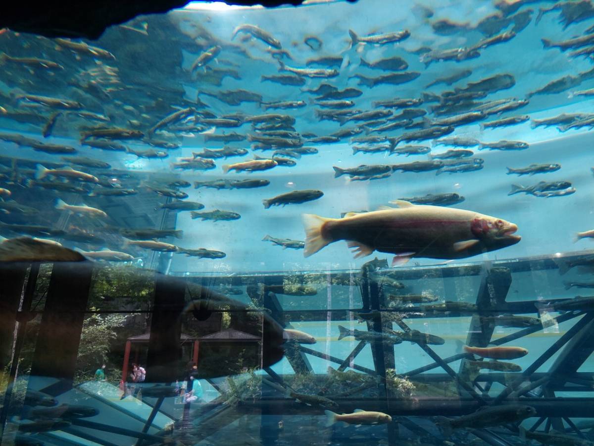 ファイル 213-2.jpg