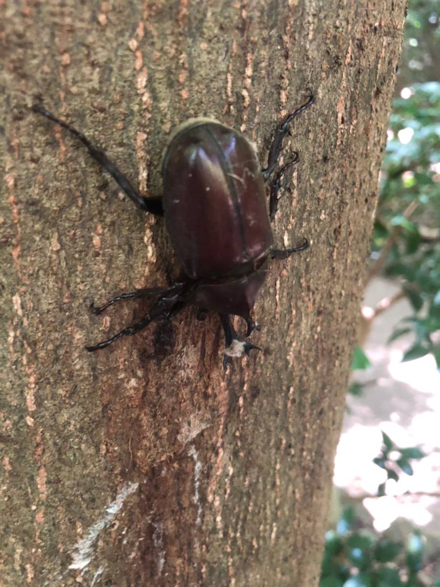 ファイル 220-5.jpg