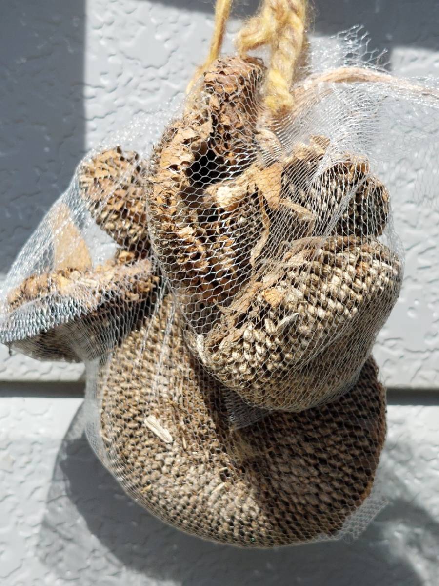 ファイル 233-4.jpg