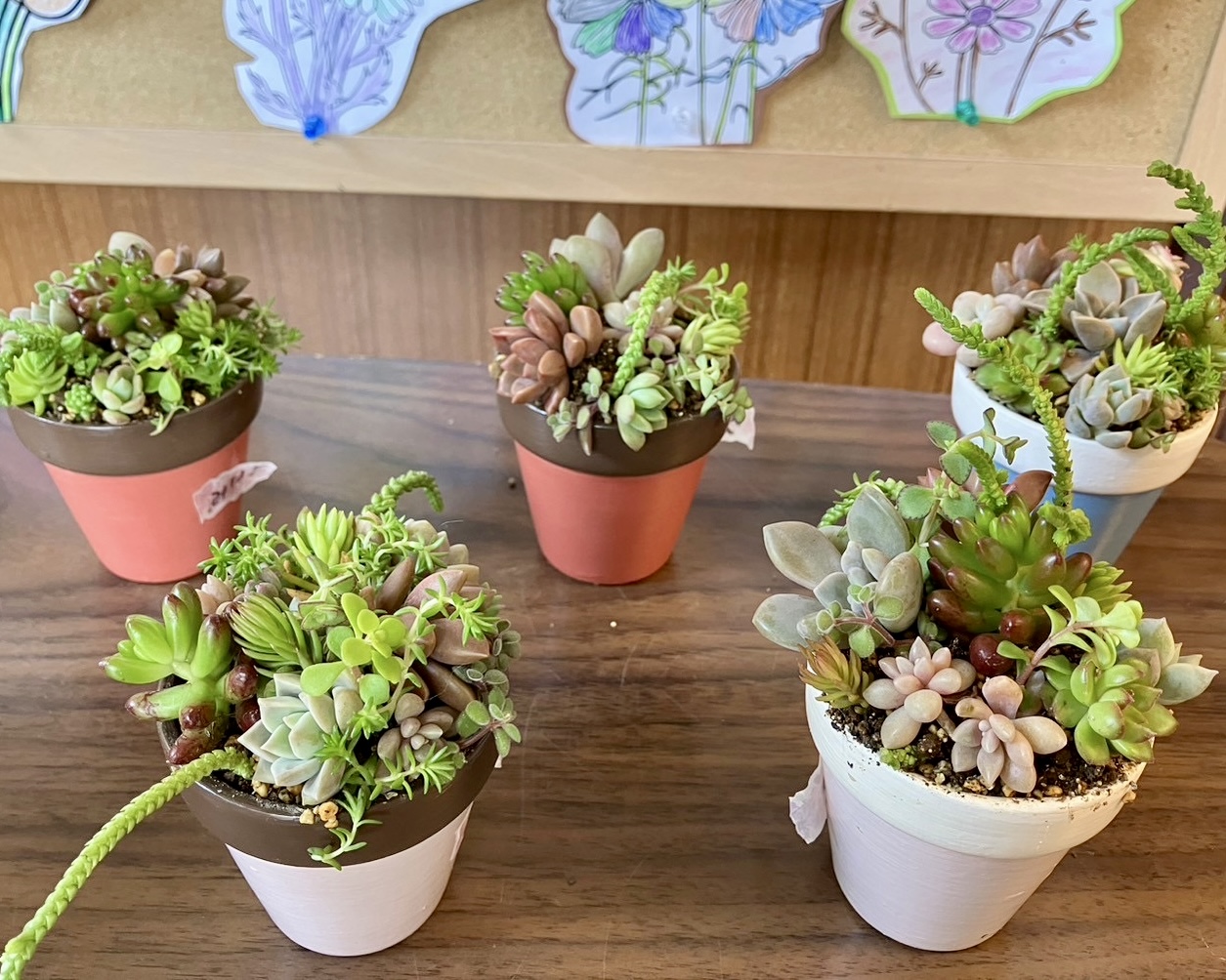 ファイル 324-3.jpeg