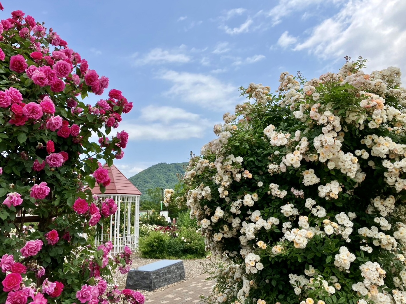 ファイル 325-1.jpeg