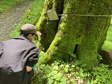 ファイル 326-1.jpg