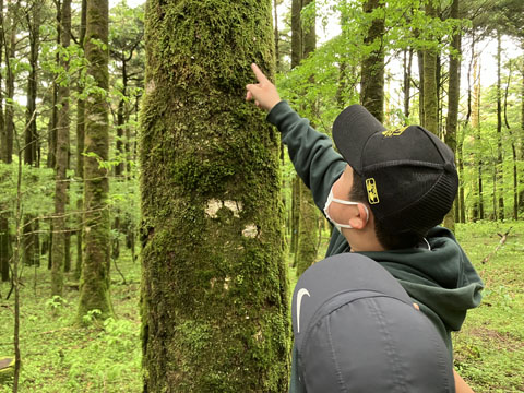 ファイル 326-2.jpg